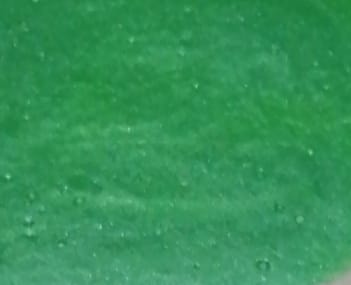 Metallic Green
